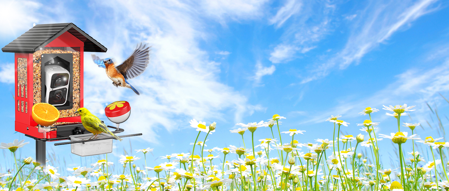 Birdsnap bird feeder