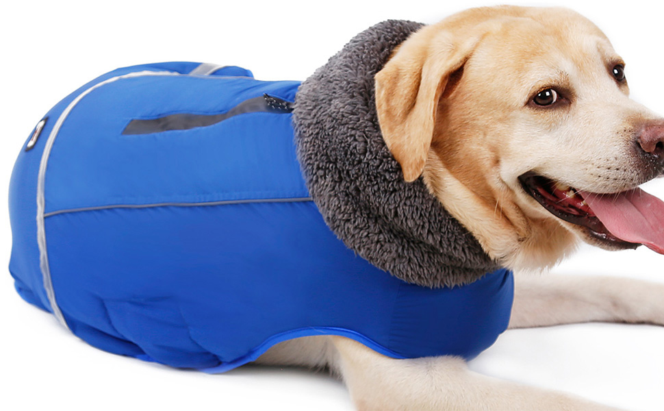 Waterproof Windproof Dog Cold Weather Coats-Warm Dog Clothes Clothing Jackets for Small Large Medium Girl Boy Outdoor Indoor Activities (black, Medium) 12 dog winter coats