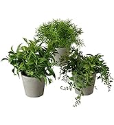 WHW Whole House Worlds 3 Piece Realistic Potted Plant Set, Curly Green Stems, Waxy Surface Leaves...