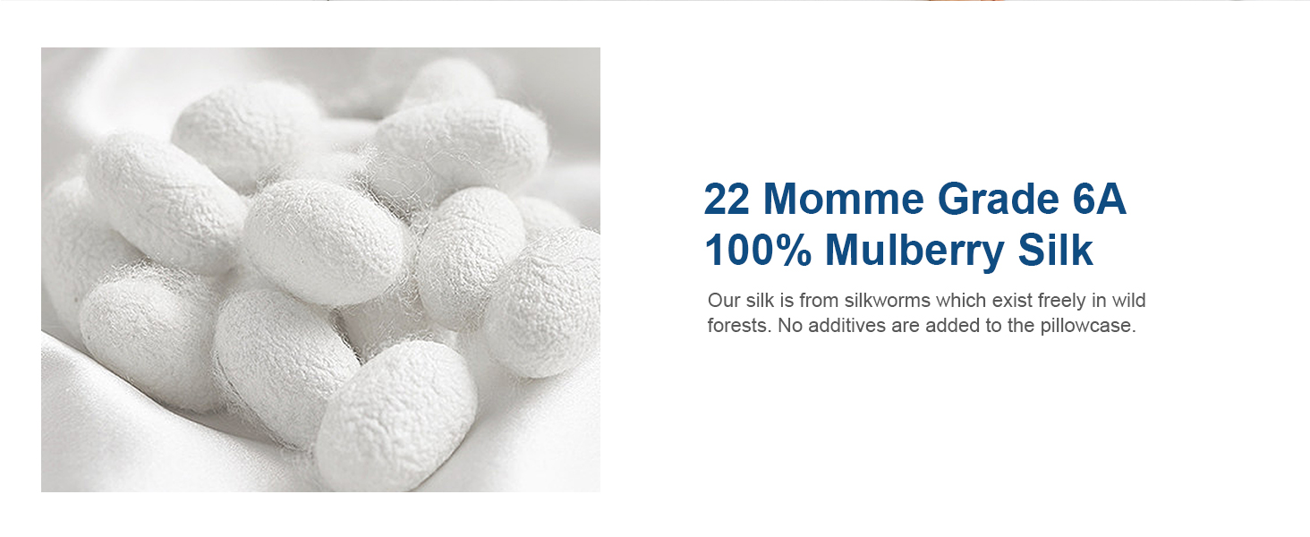 100 Mulberry Silk Pillowcase for Hair and Skin, Dafinner