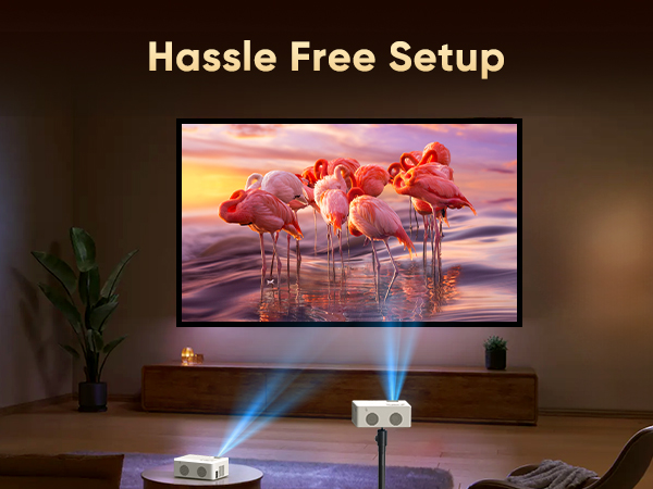 Heimkino-Setup mit Projektor, der das Bild von Flamingos auf dem Wasser bei Sonnenuntergang auf eine große Leinwand überträgt. Auf der Texteinblendung steht „Problemloses Setup“