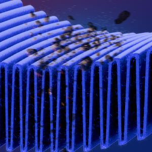 Small manufacture image 4