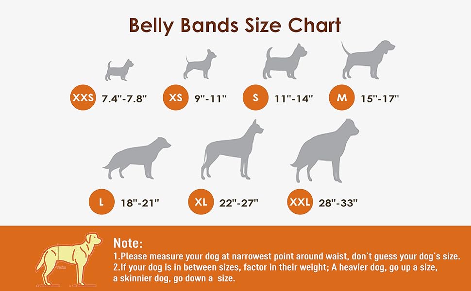 Wegreeco Washable Male Dog Belly Band (Stylish Pattern