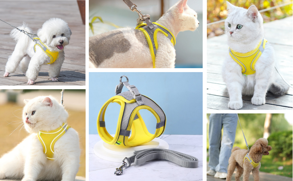 Cat Harness and Leash,Cat Harness Escape Proof,Adjustable Soft