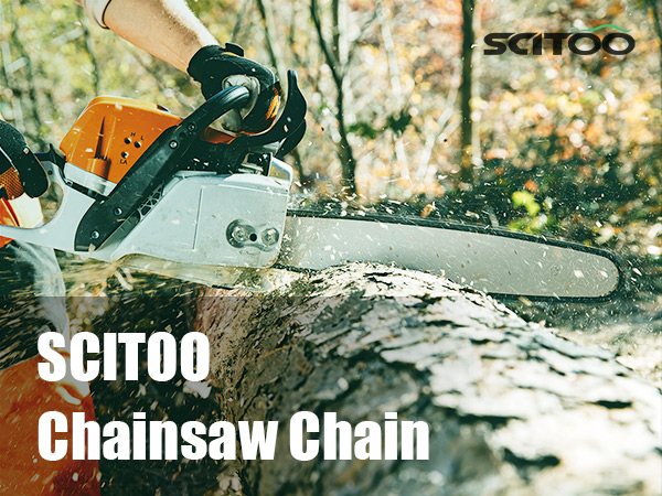 cinnamonページ Pines Terrace - Cinnamon