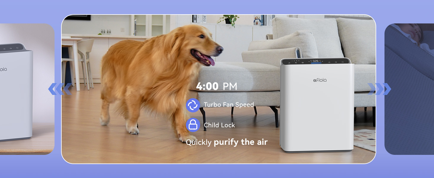 air purifiers for home large room