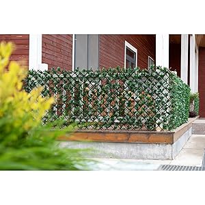 Amazon Com Doeworks Expandable Fence Privacy Screen For Balcony Patio Outdoor Faux Ivy Fencing Panel For Backdrop Garden Backyard Home Decorations 1pack Patio Lawn Garden Amazon Com Doeworks Expandable Fence Privacy Screen For Balcony Patio Outdoor Faux Ivy Fencing Panel For Backdrop Garden Backyard Home Decorations 1pack Patio Lawn Garden
