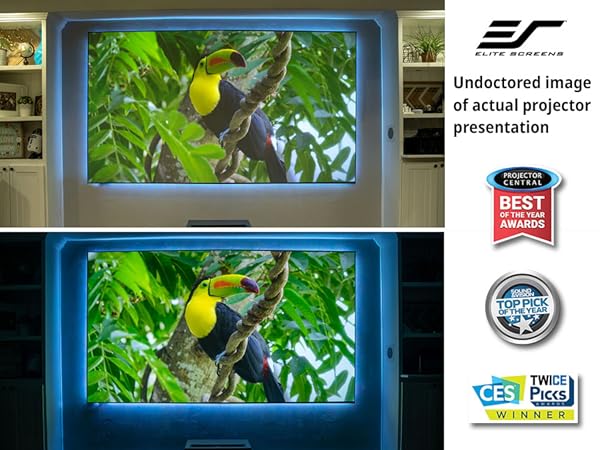 Amazon.com: Elite Screens Aeon CLR 103-Inch ALR UST