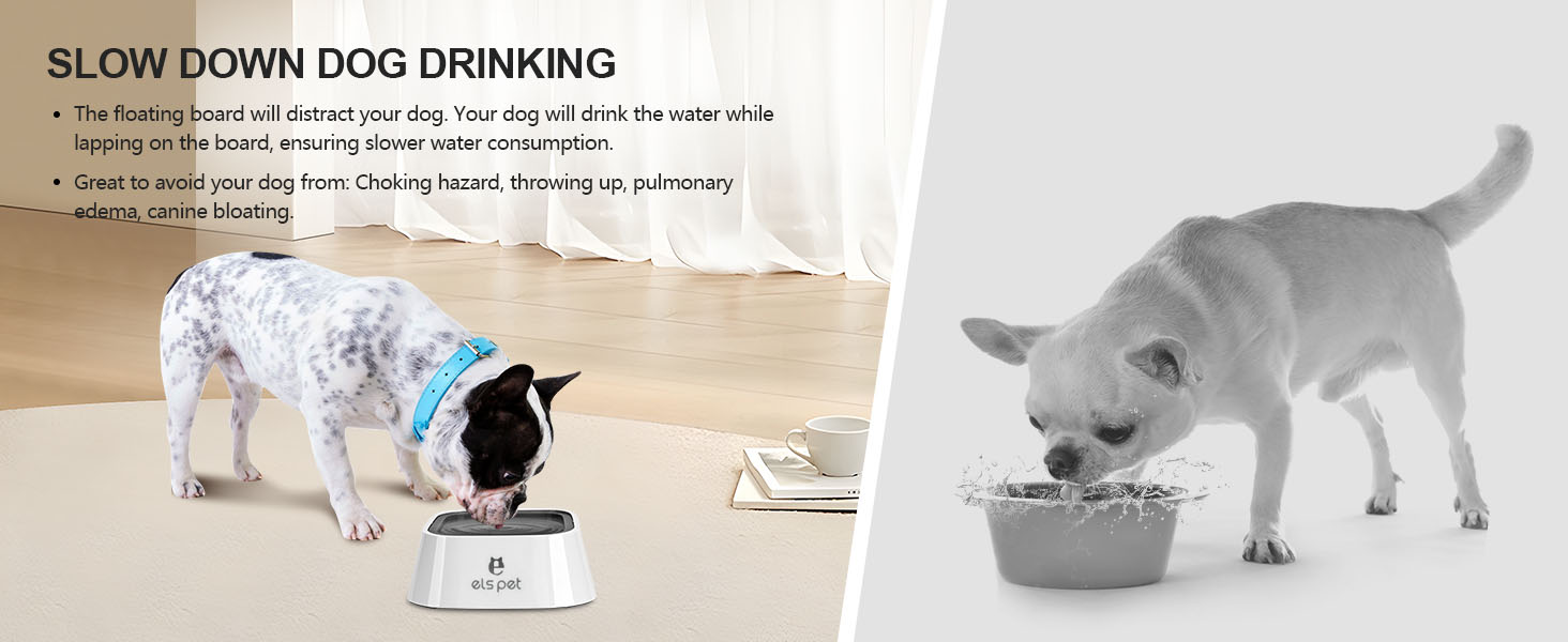 Slow Down Dog Drinking bowl featuring two panels: spotted dog drinking from a specialized bowl, and a white dog drinking from a standard bowl. Text describes benefits of slower drinking.