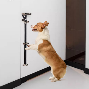 clicker dog training