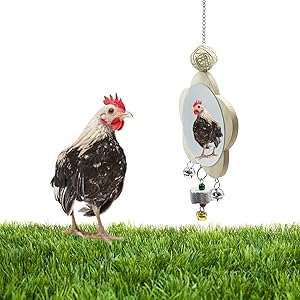 Chicken Mirror Toys