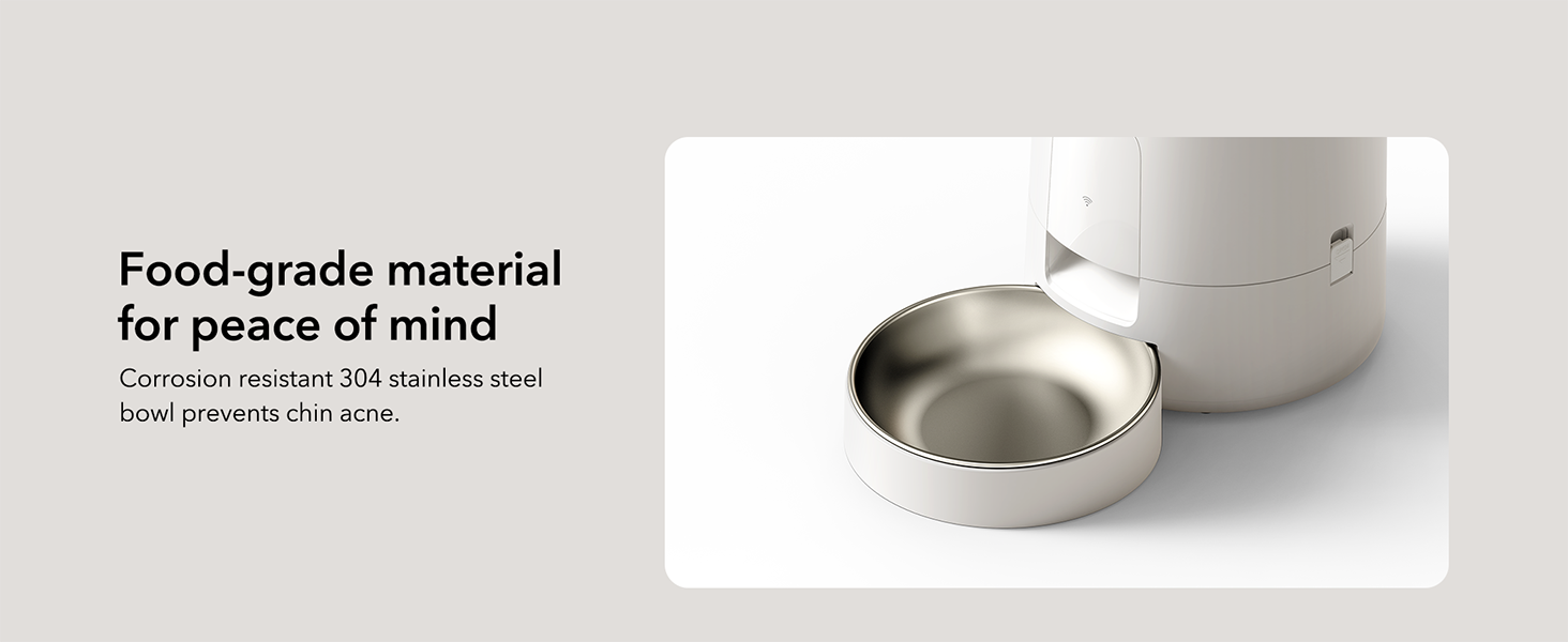 alimentador automático para gatos