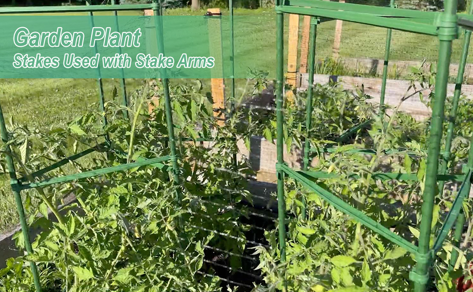 Garden Stakes 48 Inches Plastic Coated Hollow Steel Plant Stakes, Tomato Stakes