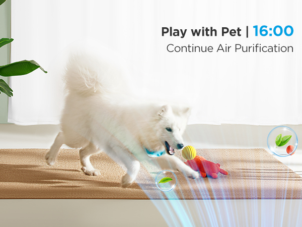 Continue Air Purification