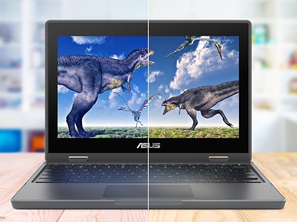 Amazon.com: ASUS 2-in-1 Chromebook Flip CR1 (11.6