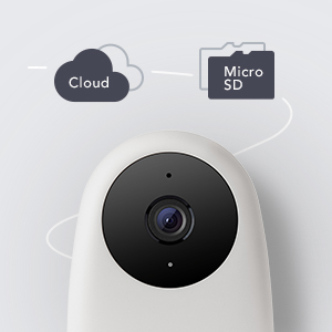 cloud and SD card storage