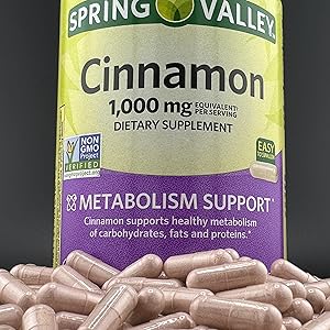 SPRING VALLEY CINNAMON 1000 MG 
