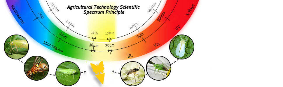 Wie es funktioniert? Warum gelb?