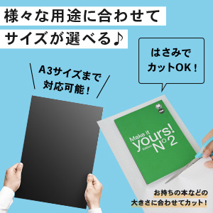 Bauhausfotografie IFA 日本語解説冊子付 Bauhausfotografie IFA 日本語解説冊子付 Bauhausfotografie IFA