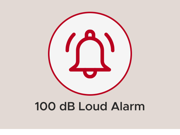 100 dB Loud Alarm