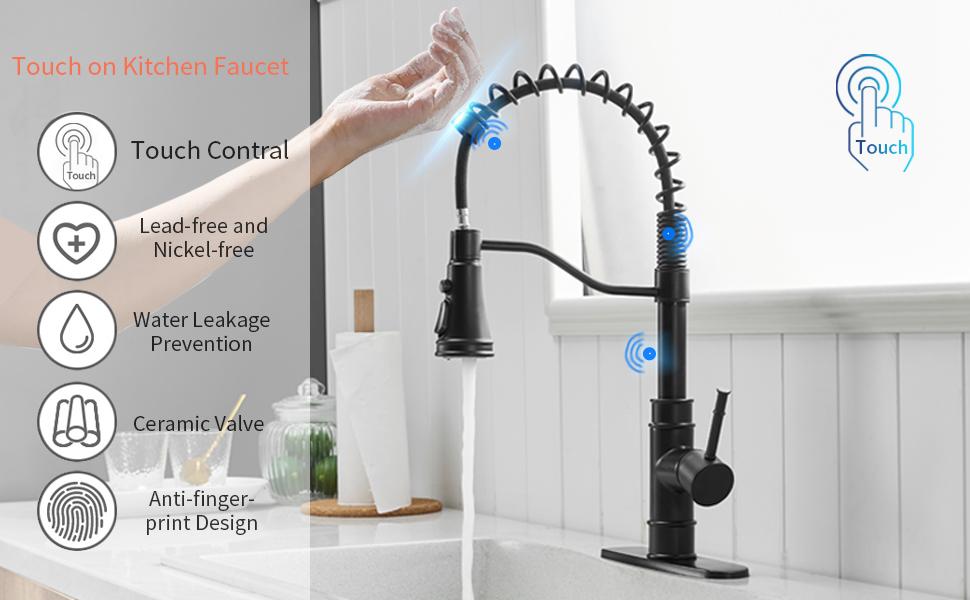 Kitchen faucet 