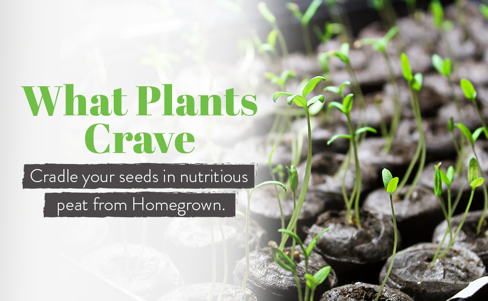 Seed Starter Peat Pellets for Gardening Plant Seed