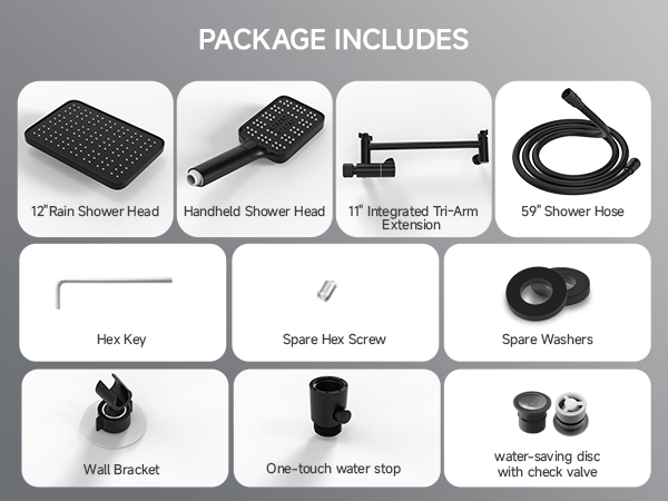 rain shower head with handheld spray