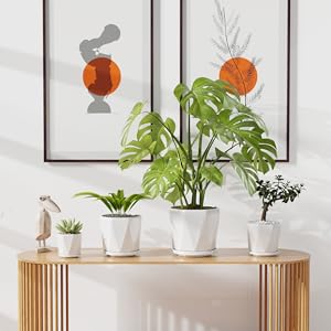 large 8 9 10 inch white planter plant pots indoor outdoor