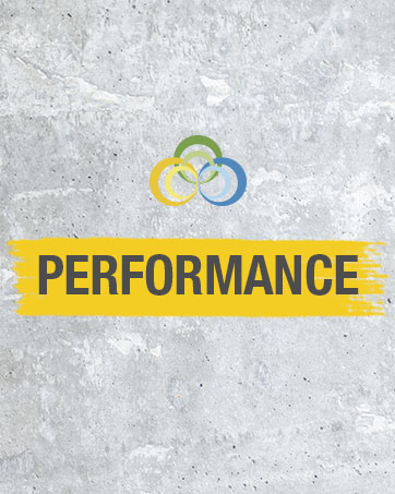 PERFORMANCE
