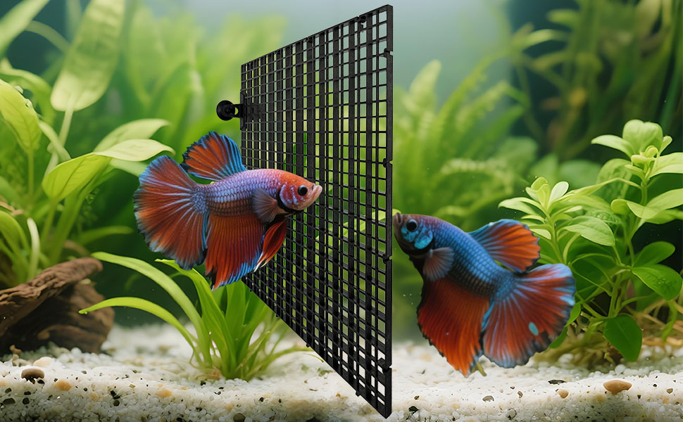 adjustable fish tank divider with suction cups