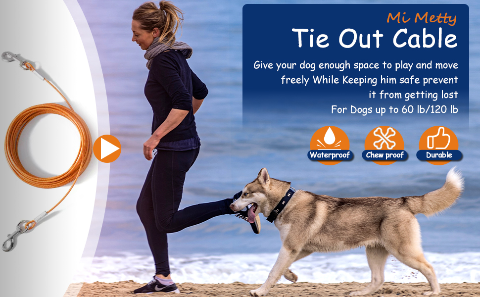 Tie Out Cable for Dogs, 20/50/30/ 100FT Dog Leads for Yard Chew Proof