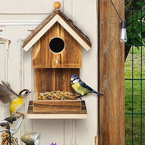 Hanging bird house