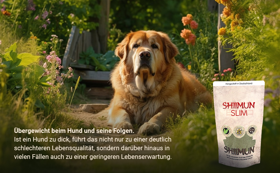 Nahrungsergänzungs für Hunde mit Shiitake - Shiimun Slim
