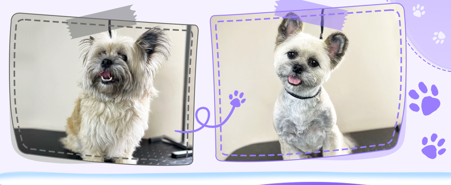 Large manufacture image 5