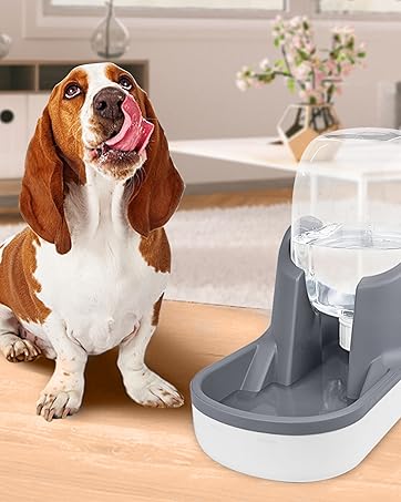 Water Dispenser for Dogs