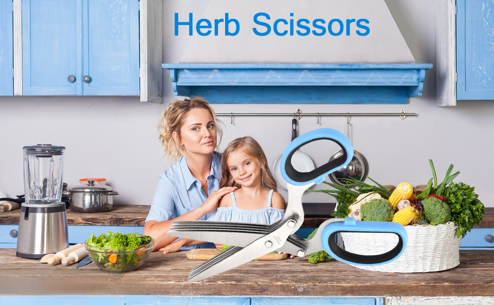 Upgrade Your Kitchen with 2023 Updated 5Blade and Cover