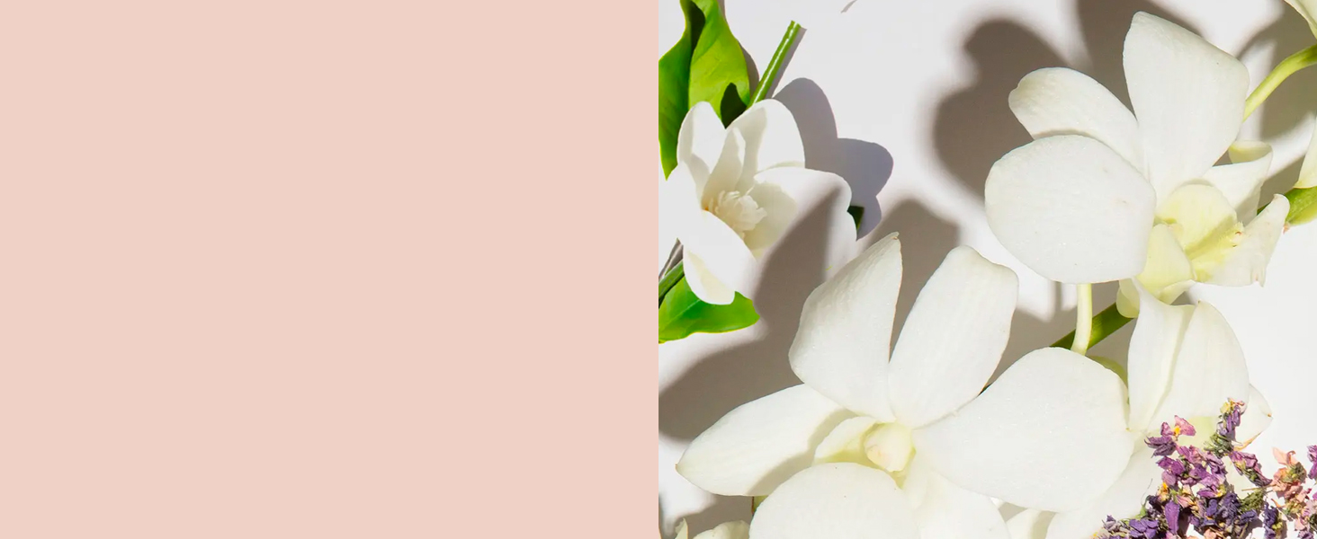 OUAI Hair Oil Hair Heat Protectant Oil for Frizz Control Adds Hair Shine and Smooths Split