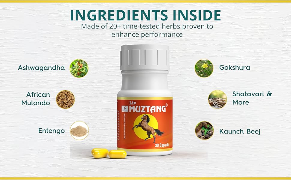 Large manufacture image 5