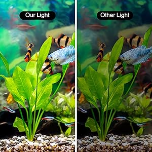 aquarium reef light