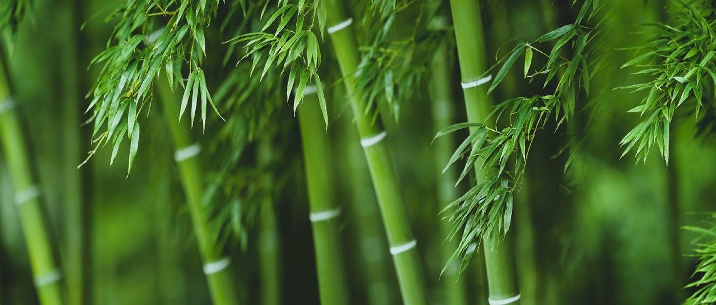 Bamboo Fibre products by Terra Verde