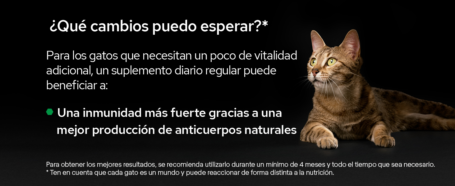 +suplementos para mascotas +alimento complementario +perro +gato