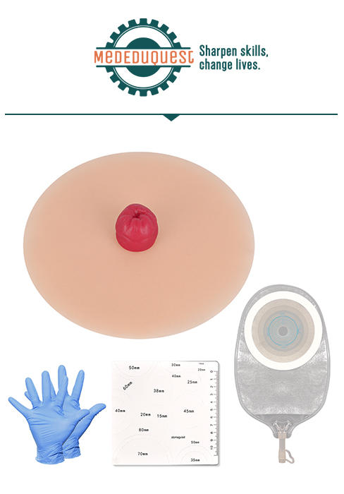 Stoma Training Model