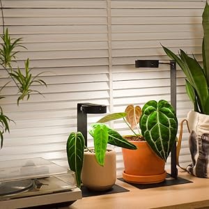 Amazon.co.jp: MIST O マグネット式植物育成ライト スタンド付き