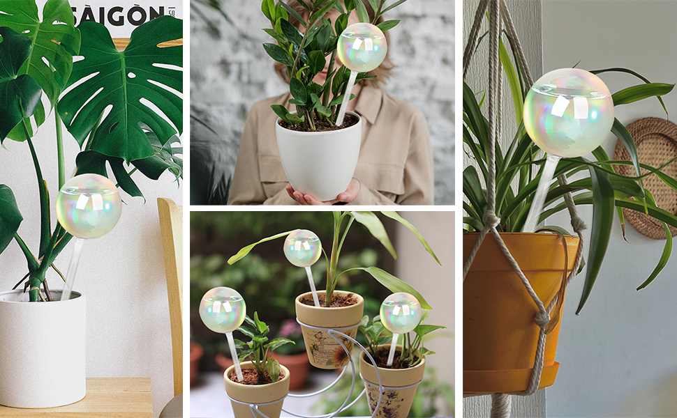 DaceStar Plant Watering Bulbs, Self Watering Globes for