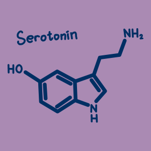 Wellichews Calming Chews For Dogs and Cats - Seperation Anxiety Relief for Dogs - Puppy, Small Dog & Cat Calming Treats for Chronic or Acute Anxiety & Behaviour Problems 17 serotonin