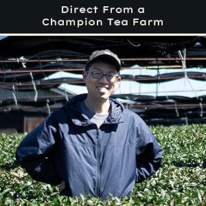 Champion Tea Farm