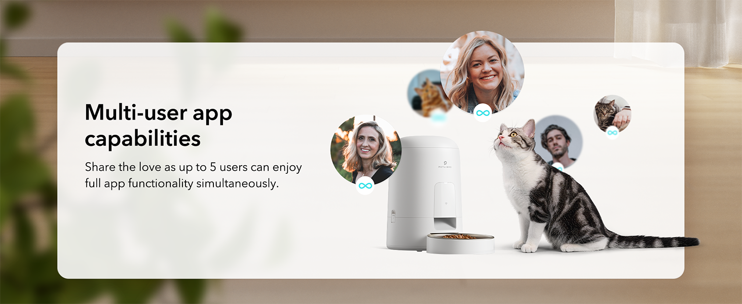 alimentador automático para mascotas