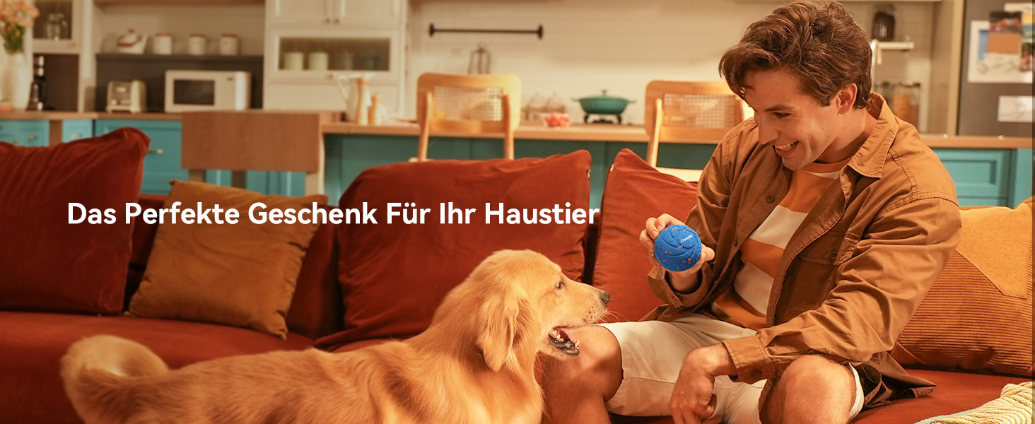 Der Text lautet „Das perfekte Geschenk für Ihr Haustier!“ Innenbilder des Ladens, die Verkaufsregale mit Produkten und Zubehör für Haustiere zeigen.