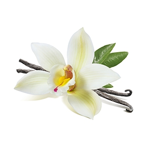 Vanilla (adds a warm, sweet touch to the smoke)