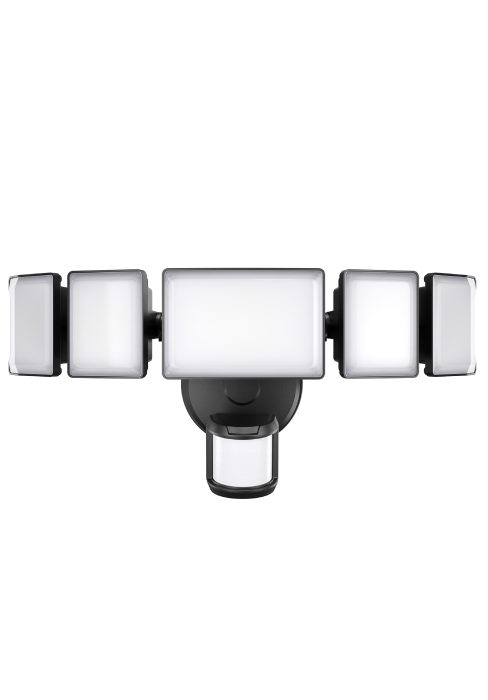 motion light